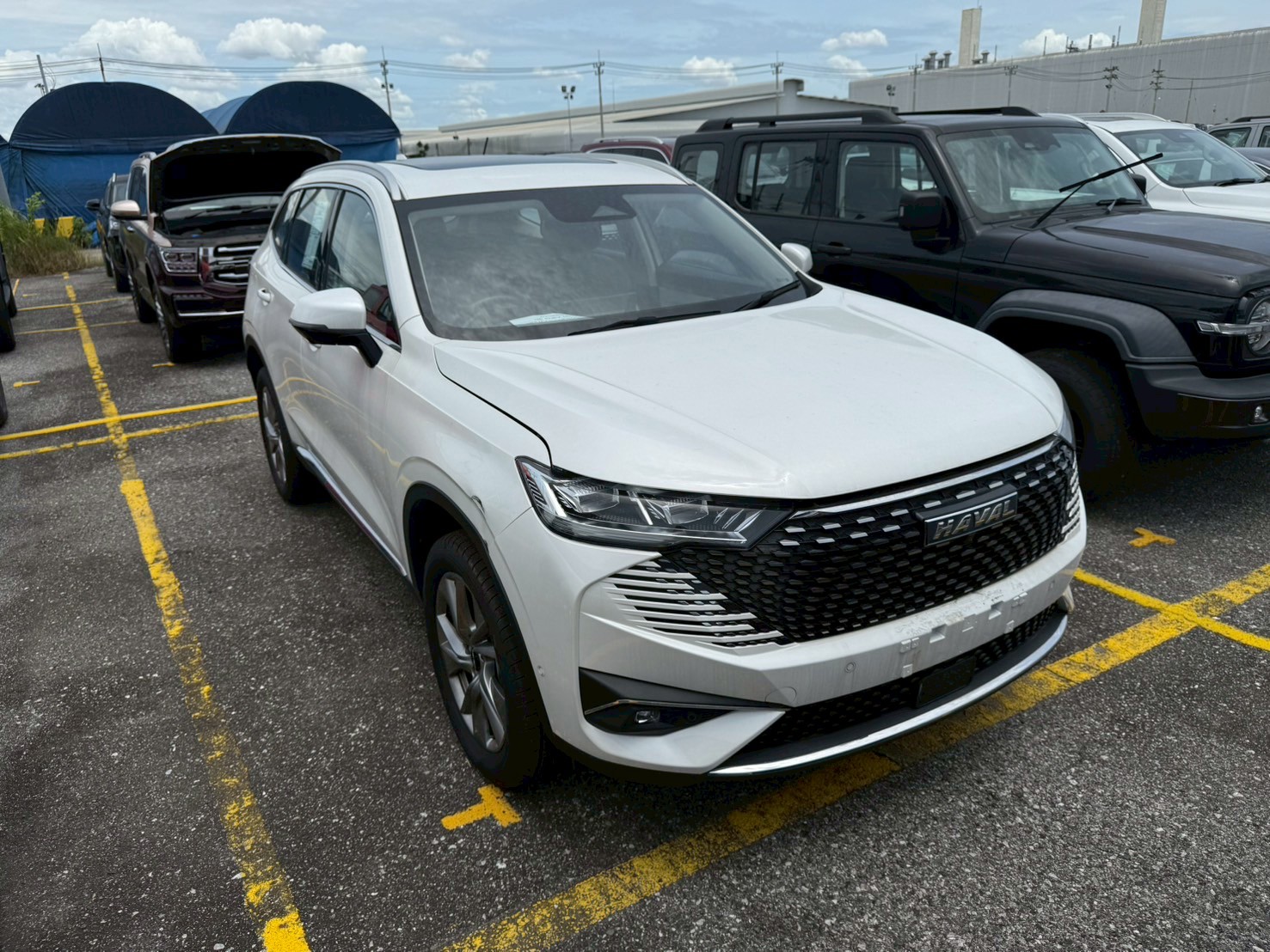 MNUAA1S60NR009347 H6 HEV Ultra Facelift-c33e602e-e671-4aeb-4f5f-08ddd654b804